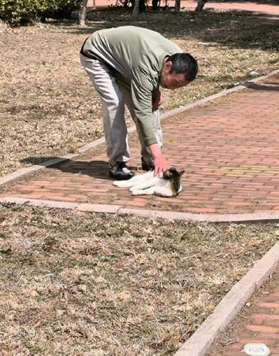 1000161006.jpg