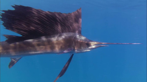 QAh8 eW2fNrzenYi.jpg