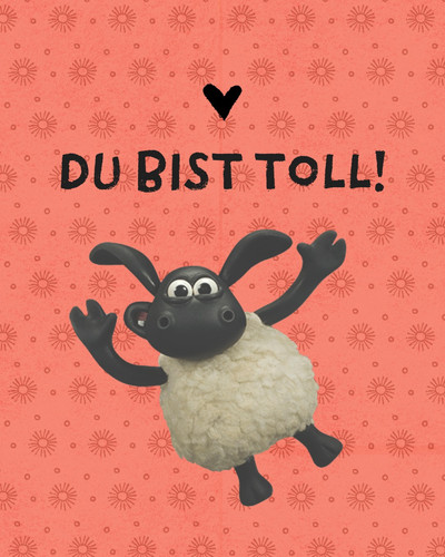 shaundasschaf.de 1751819768497.jpg