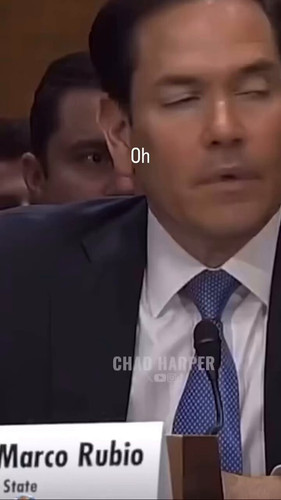 q1NQN1c qDsocBvj.jpg