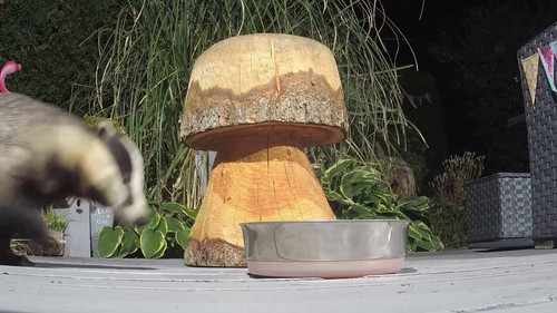 QX0e csKhjKtI1Sy.jpg