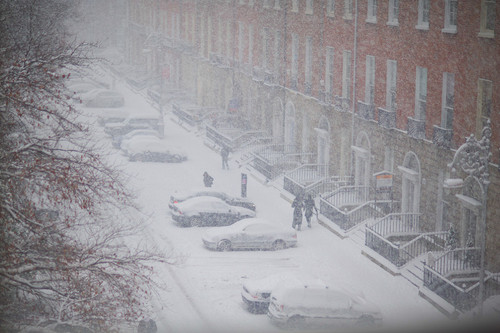 blizza noun 004 0376.jpg?version=5.0.jpg