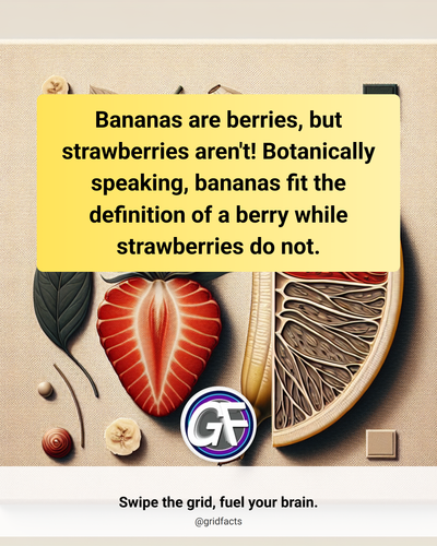 1f89b21e 0a97 4d62 aba9 dbd74bc76837.png