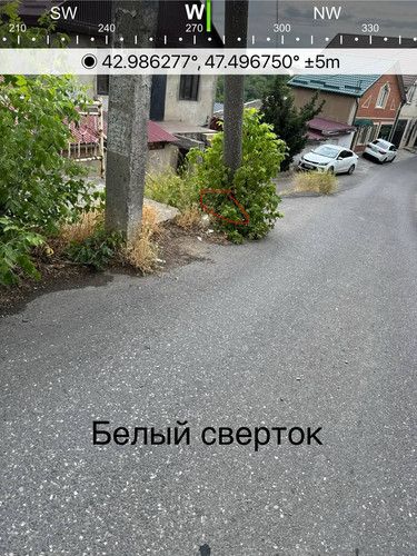 file 8229.jpg