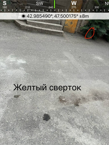 file 8232.jpg