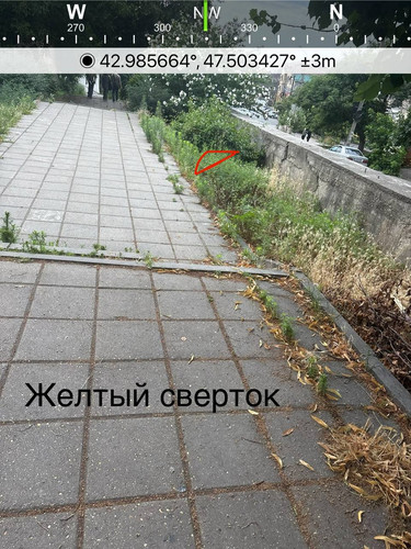 file 8239.jpg