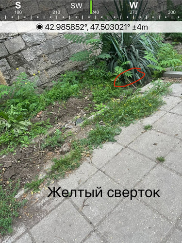 file 8237.jpg