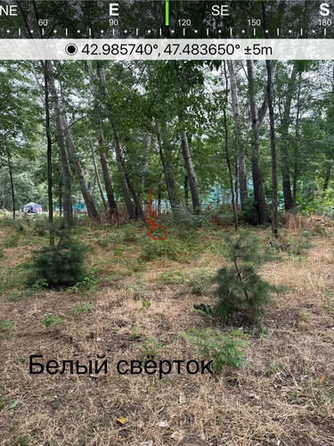 file 8219.jpg