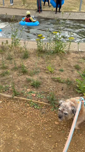 uvYb8KA1 U x3kSU.jpg