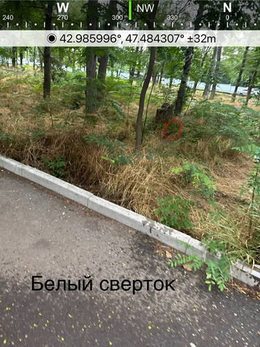 file 8220.jpg