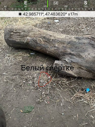 file 8221.jpg