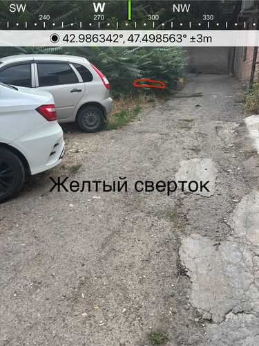 file 8245.jpg