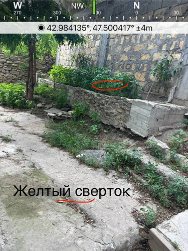 file 8244.jpg