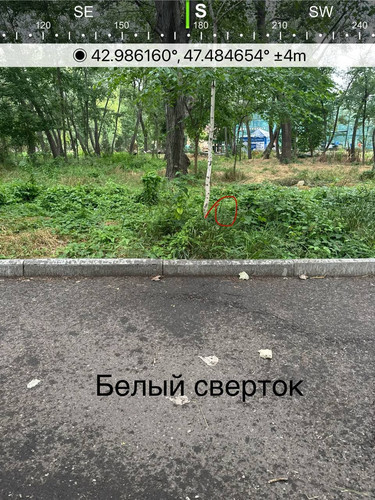 file 8201.jpg
