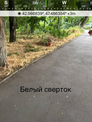 file 8208.jpg