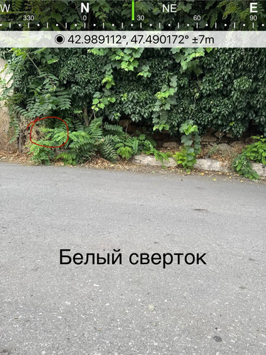 file 8207.jpg