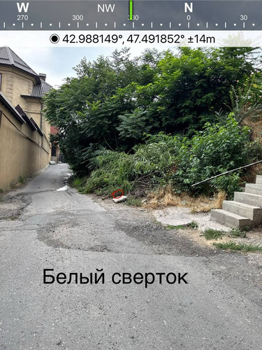 file 8226.jpg