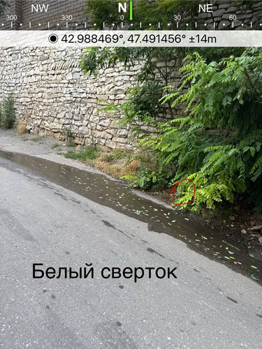 file 8223.jpg