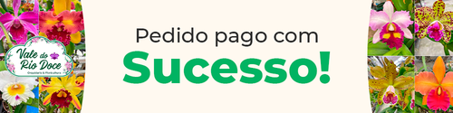 Casa das Orquideas copiar 3.png