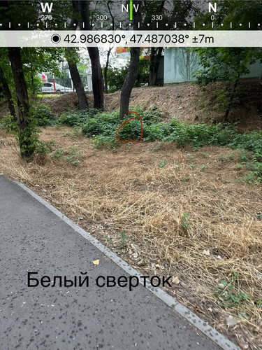 file 8211.jpg