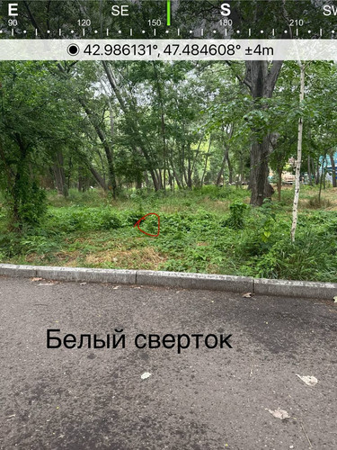 file 8216.jpg