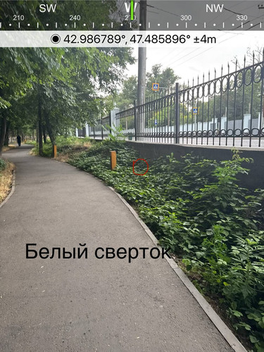 file 8213.jpg