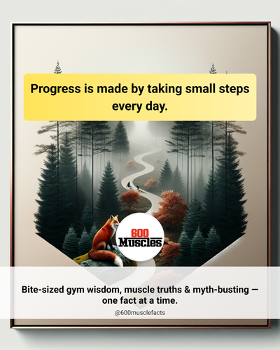 6984e803 7b38 47fc 8474 4ce241371640.png