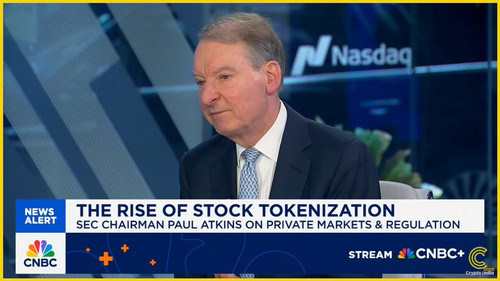 xlzeDNkx1NUo cy3.jpg