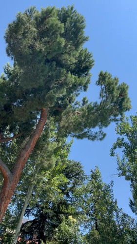 KcP0U DYNn6MLERK.jpg