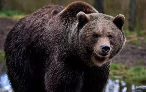 Dnboq7eNuchptJx4bF6msttkJFVWgmLB BGRDHNGfo0SgQX7paFVCmQquHnDBSWbYtciq5KelKMqA8NR35iLq0LQ7qZz0SdN9kiR.jpg