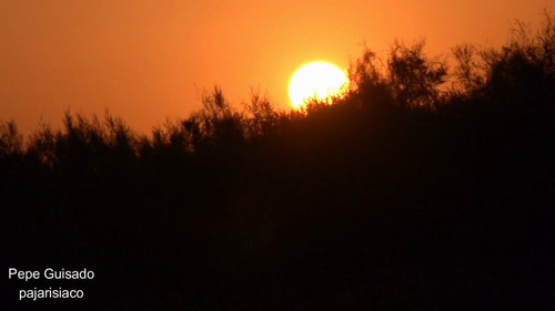 3Mrqph0anKZ 2coU.jpg