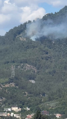 4ezPi gv7kmmR4qs.jpg