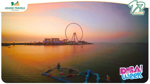 aR6jl8jMjN 1Y8WZ.jpg