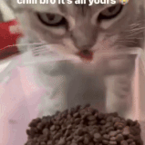 eatingupart.gif