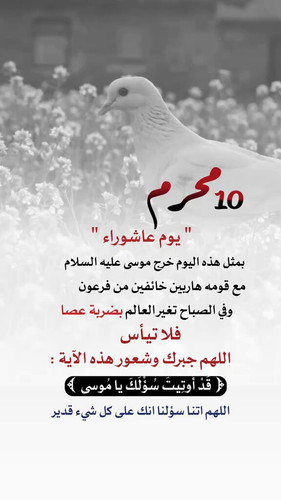 KYOJQhnU TV4DPlT.jpg