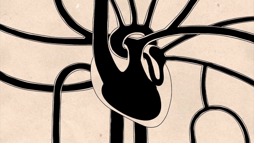 vlcsnap 2025 07 05 20h56m34s959.png