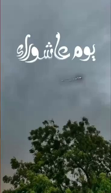 T3BEANFM31CiKBgJ.jpg