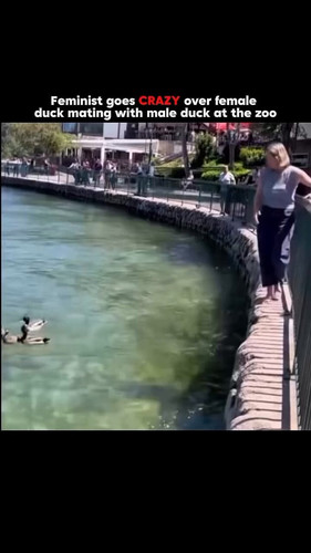 TIduDhJo1tJ8NvuJ.jpg