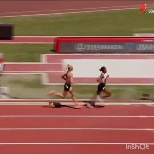 2kohy3uJ0vvIfopp.jpg