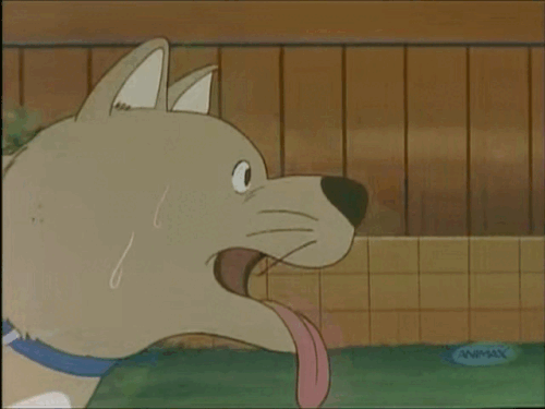賤基狗.gif