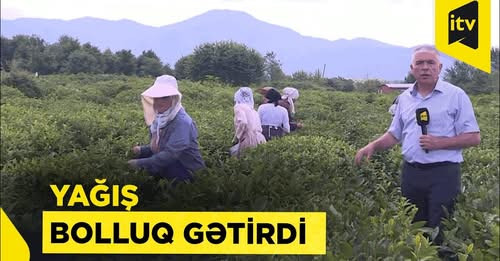 10254006160699961905?url=https%3A%2F%2Fi.ytimg.com%2Fvi%2FBuoyOw7IMsI%2Fmaxresdefault.jpg%3Fsqp%3D o.jpg