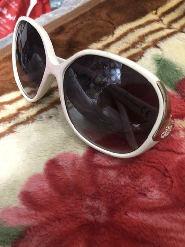 images%2Fimage 1751737825128.jpg