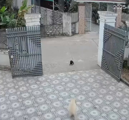 Nu 83RABj HPeMX4.jpg