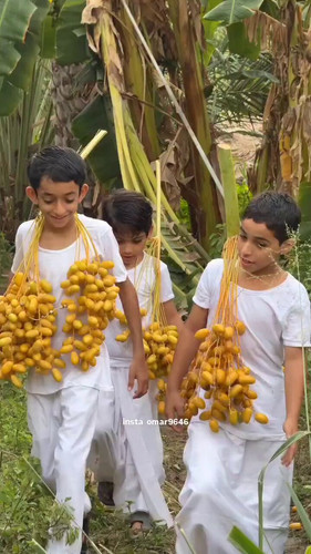 mQHWDarXGwjJPXx .jpg