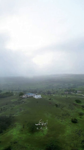 pj roM75YoyxutEX.jpg