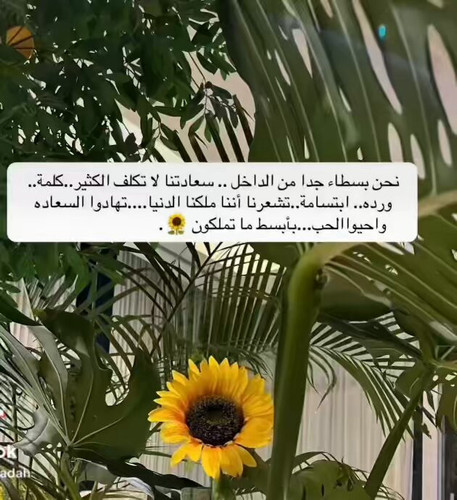 sqkWhKAYsI QXbCD.jpg