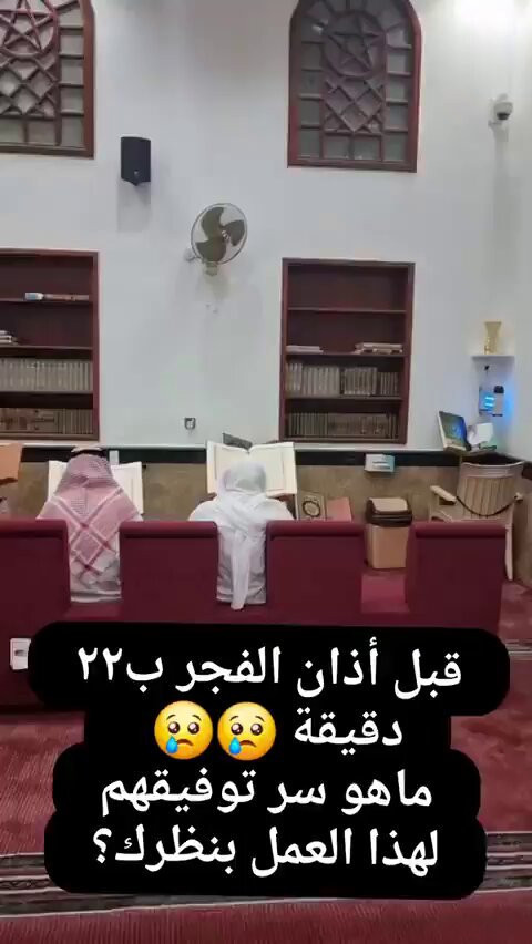 hP gTCLrjs ImBbr.jpg