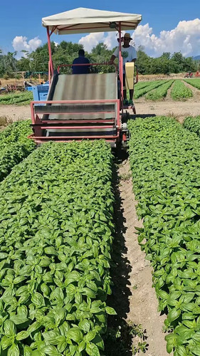 NVDb8G3ZI xFp3 k.jpg