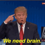 We Need Brain.gif
