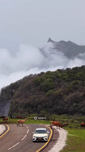 UgZ9sqGJ H3Se s5.jpg